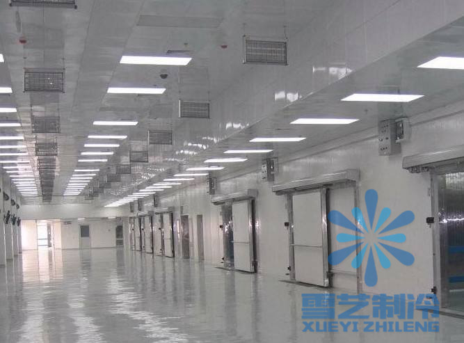   1000噸速凍冷庫價格多少錢？冷庫造價，1000噸速凍冷庫