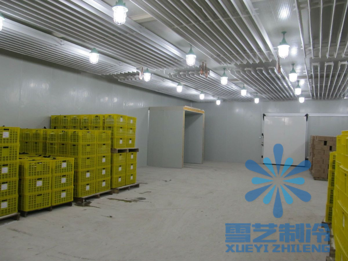 500平方冷庫安裝公司哪家好？冷庫設計安裝