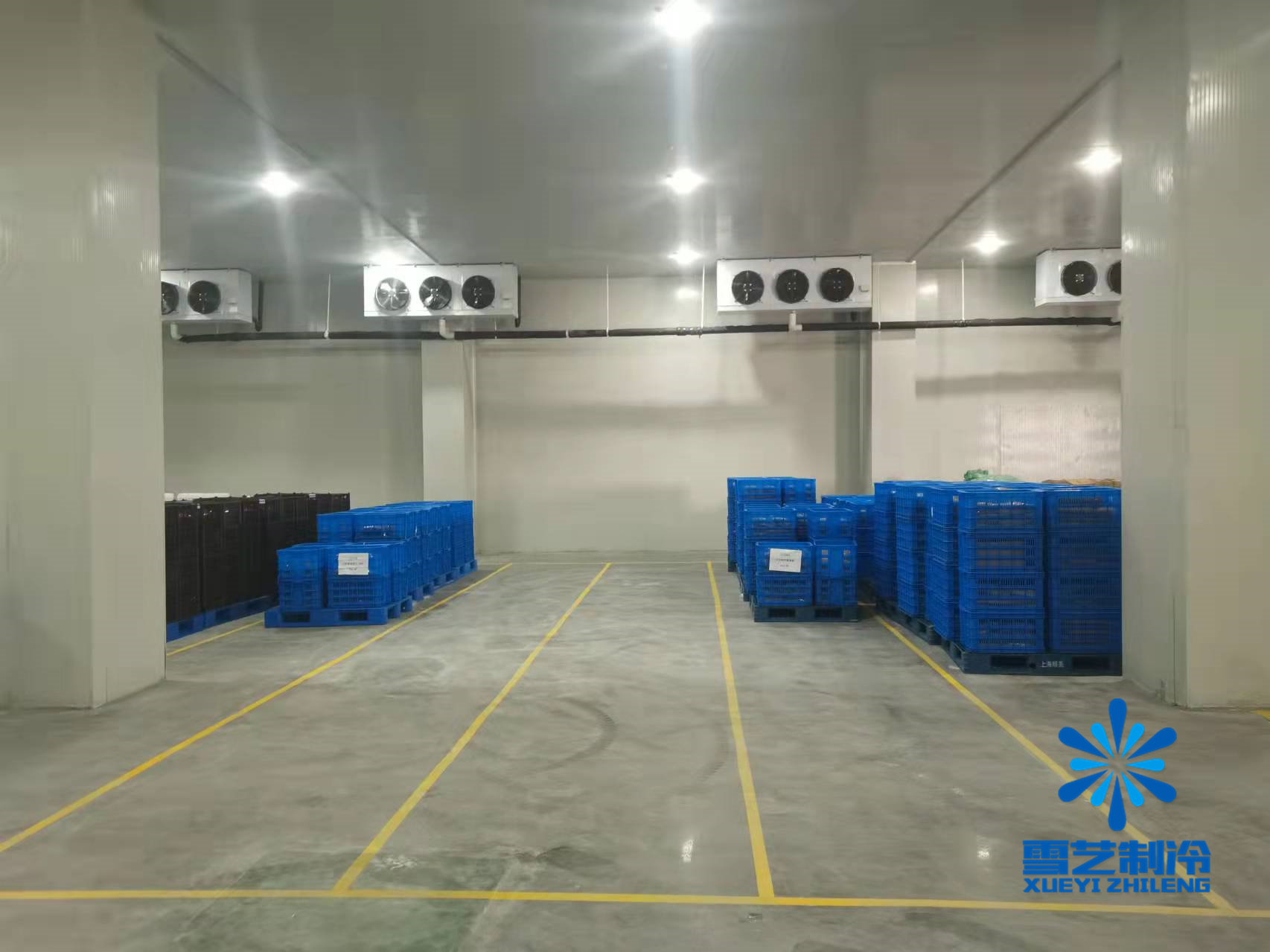 海鮮低溫冷庫 海鮮低溫冷庫