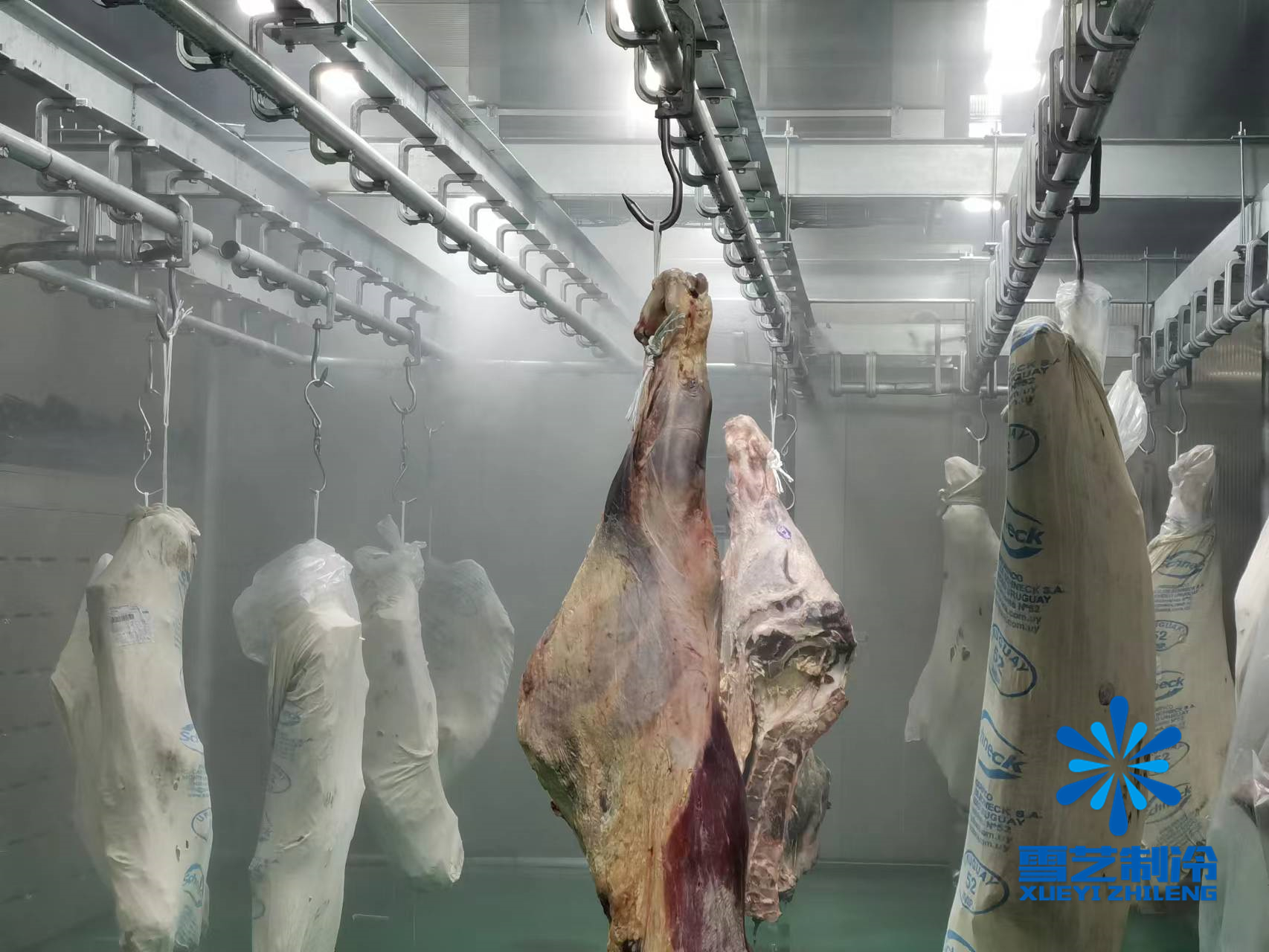 緩化庫，肉類解凍冷庫114.jpg