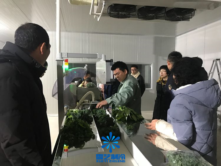 冷庫(kù)預(yù)冷 冷庫(kù)預(yù)冷