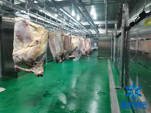 浙江海鮮肉類(lèi)低溫高濕解凍庫(kù)、緩化庫(kù)工程案例